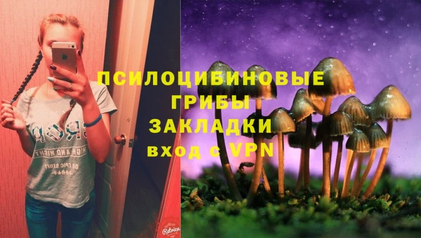 шишки Балабаново