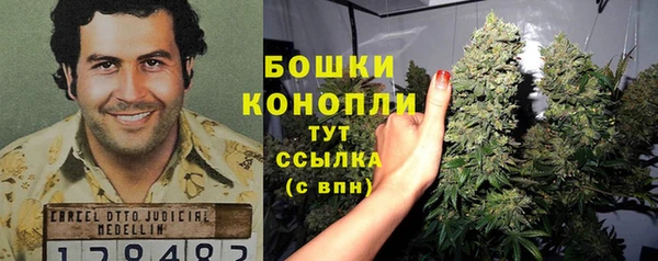 гидропоника Ачинск