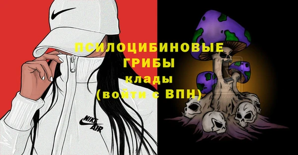 винт Баксан