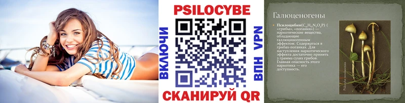 Псилоцибиновые грибы Psilocybine cubensis  сайты даркнета формула  Белоусово 